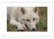 Thumbnail-9