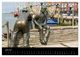 Thumbnail-11