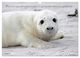 Thumbnail-10
