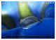 Thumbnail-9