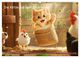 Thumbnail-13