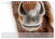 Thumbnail-12
