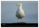 Thumbnail-9