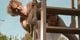 Thumbnail-11