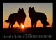 Thumbnail-10