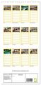 Thumbnail-7