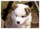 Thumbnail-10