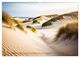 Thumbnail-12