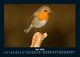 Thumbnail-9