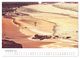 Thumbnail-14
