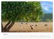 Thumbnail-11