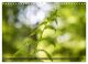 Thumbnail-11
