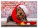 Thumbnail-14