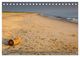 Thumbnail-8