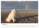 Thumbnail-12