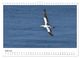 Thumbnail-10