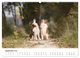 Thumbnail-10