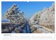 Thumbnail-14