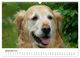 Thumbnail-14