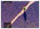 Thumbnail-12