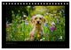 Thumbnail-14