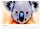Thumbnail-14