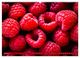 Thumbnail-10