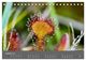 Thumbnail-10