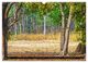 Thumbnail-8