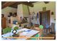 Thumbnail-14