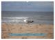 Thumbnail-11