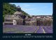 Thumbnail-11
