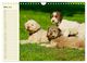 Thumbnail-8