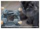 Thumbnail-11