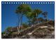 Thumbnail-10