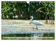 Thumbnail-10