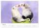Thumbnail-10