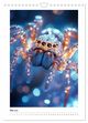 Thumbnail-10