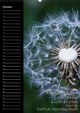 Thumbnail-10