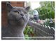 Thumbnail-12