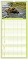 Thumbnail-9