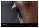 Thumbnail-10