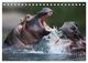 Thumbnail-9