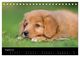 Thumbnail-10