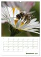 Thumbnail-13