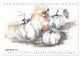 Thumbnail-11