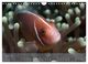 Thumbnail-11