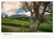 Thumbnail-11