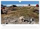 Thumbnail-9