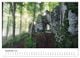 Thumbnail-13